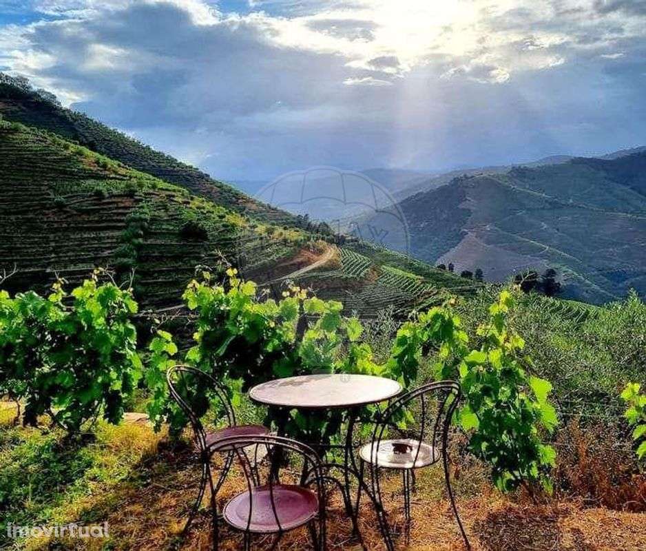 Quinta T3 para venda - Grande imagem: 2/31