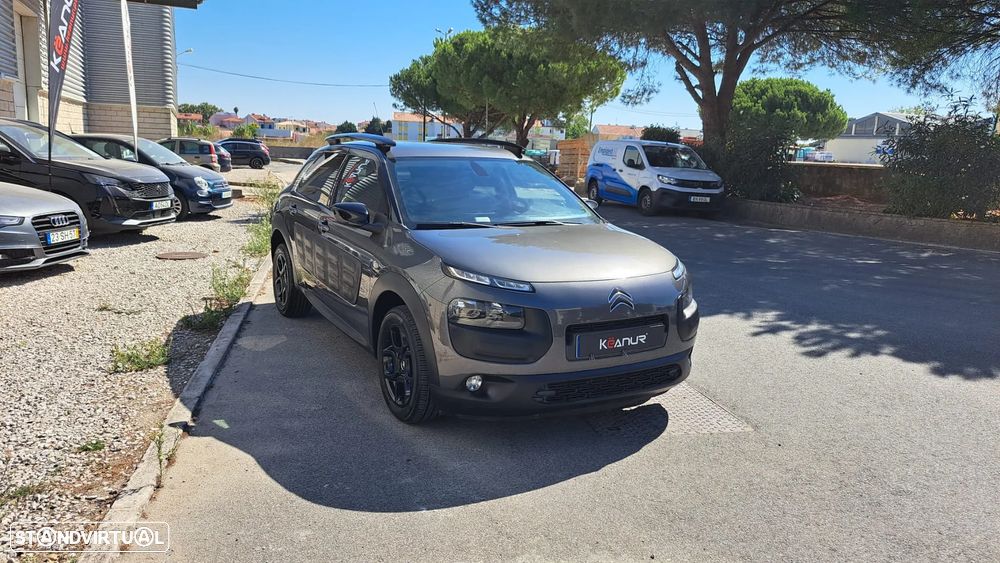 Citroën C4 Cactus 1.6 BlueHDi Shine - 15