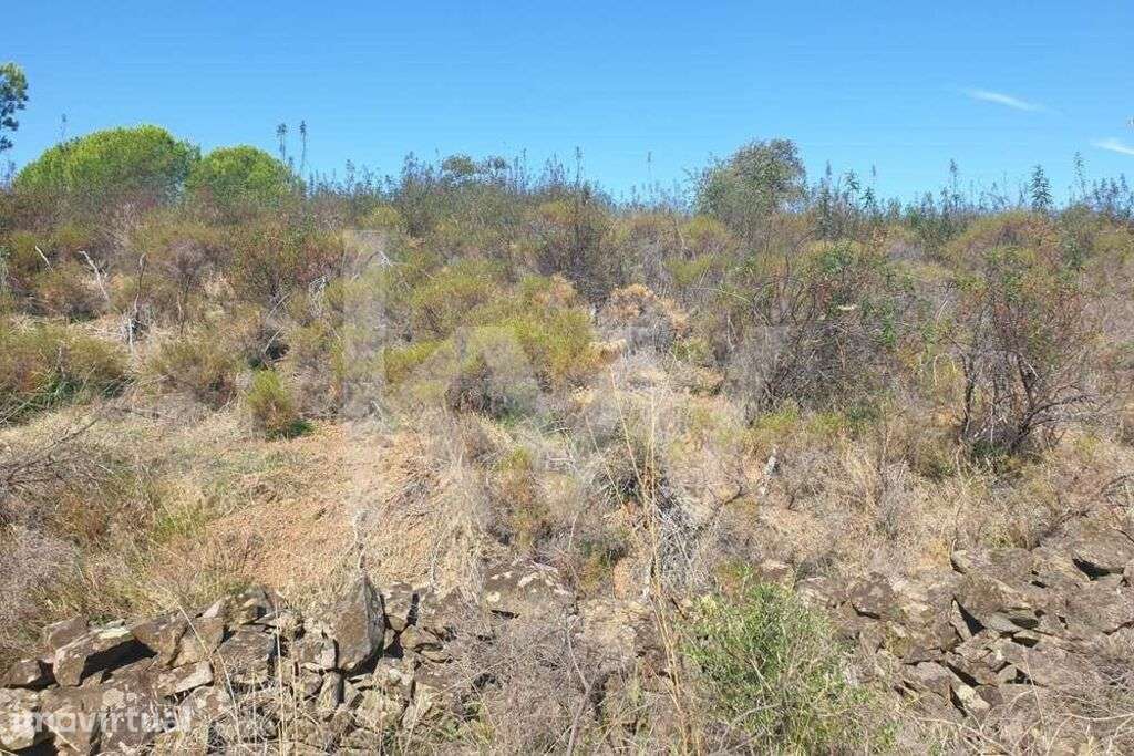 Terreno rústico para venda em Castro Marim- Azinhal - Grande imagem: 3/10