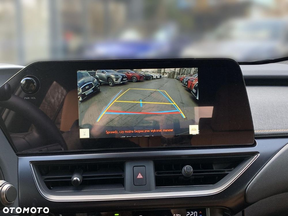 Lexus UX 250h GPF F Sport Design 2WD - 19