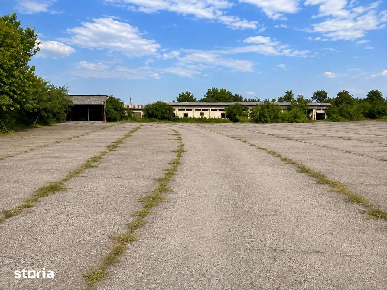 11.180 mp INTRAVILAN DRĂGĂȘANI | PLATFORMĂ BETONATĂ | UTILITĂȚI - Imagine principală: 3/6