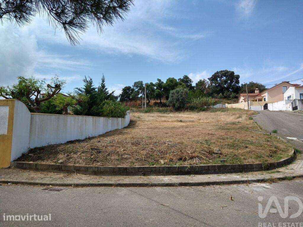 Terreno para construção em Chamusca e Pinheiro Grande de 371,00 m2 - Grande imagem: 2/21