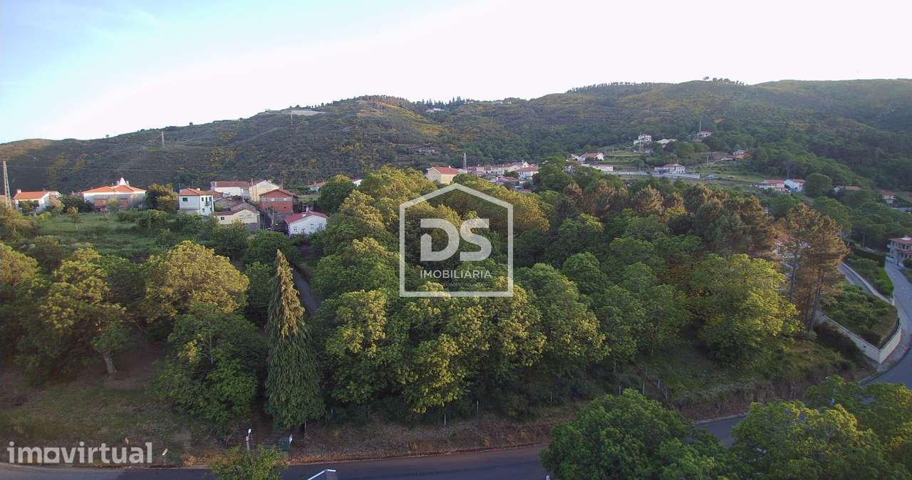 Terreno Rústico  Venda em Avões,Lamego - Grande imagem: 3/6