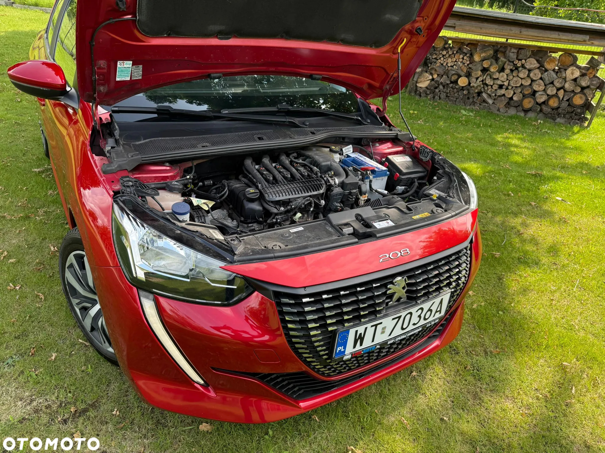 Peugeot 208 - 18