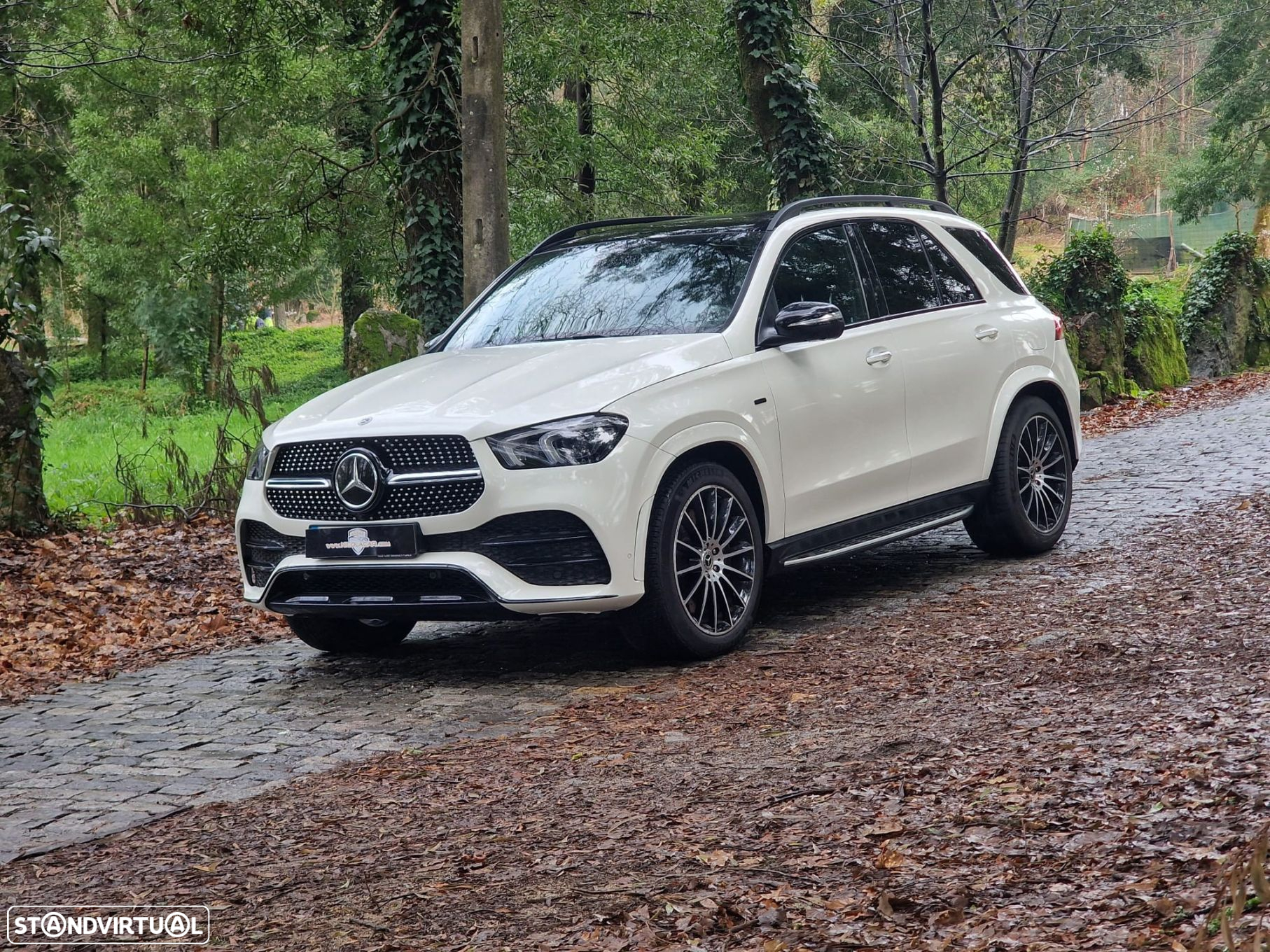 Mercedes-Benz GLE 350 de 4Matic - 57