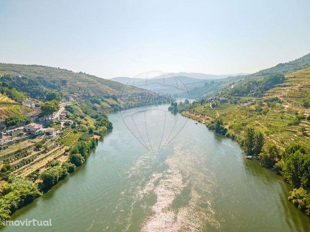 Quinta T5 para venda - Grande imagem: 3/24