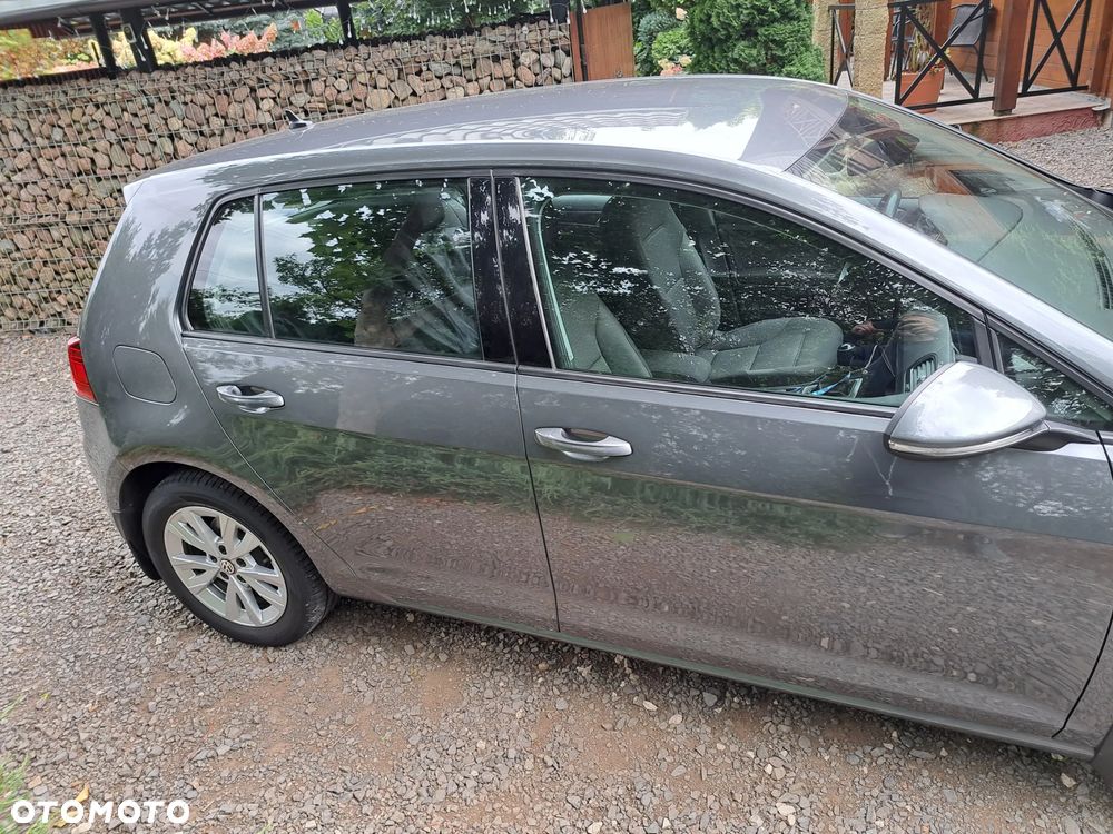 Volkswagen Golf VII 1.6 TDI BMT Highline - 7