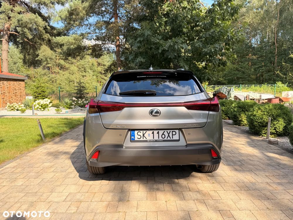 Lexus UX 250h GPF Business 2WD - 4
