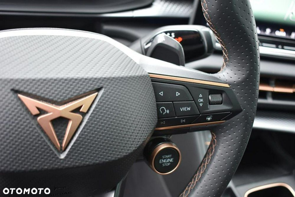 Cupra Terramar 2.0 TSI 4Drive VZ America's Cup DSG - 28