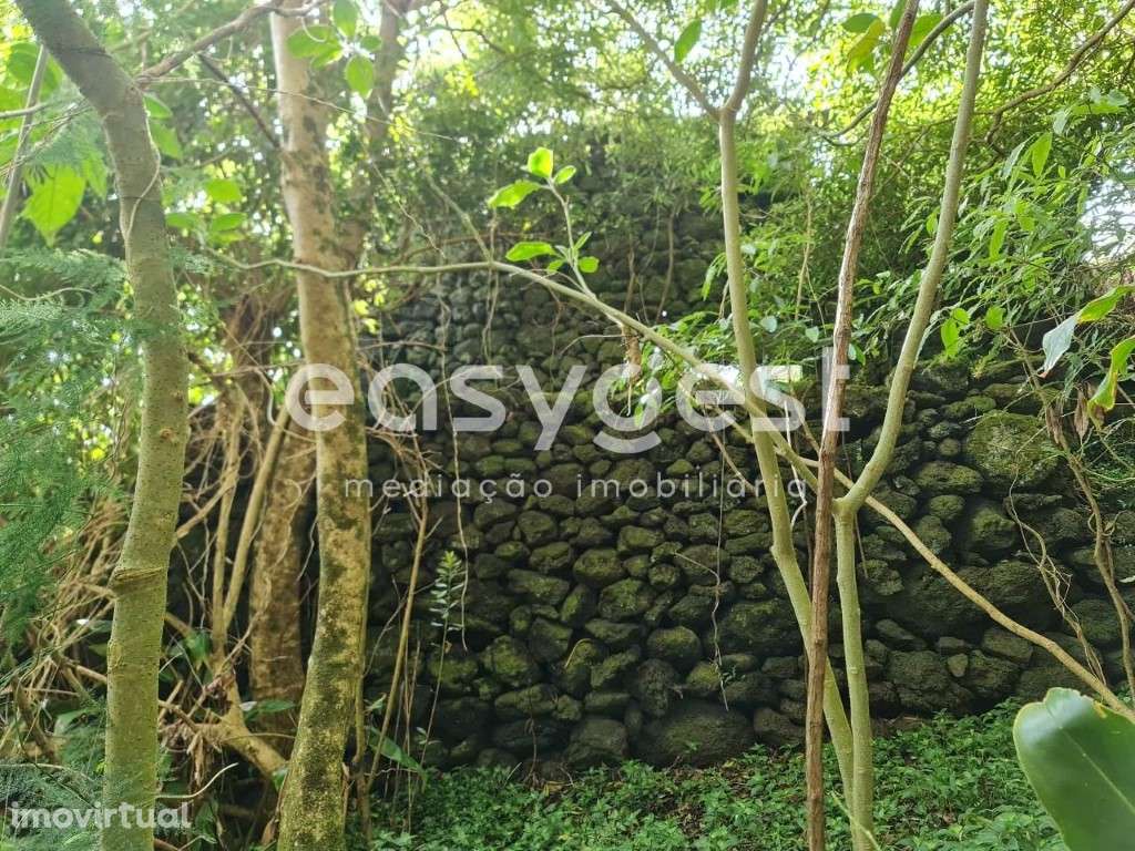 Pequena Ruina em pedra com vista mar em São João do Pico - Grande imagem: 5/15