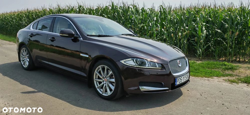 Jaguar XF 2.2 D Premium Luxury - 4