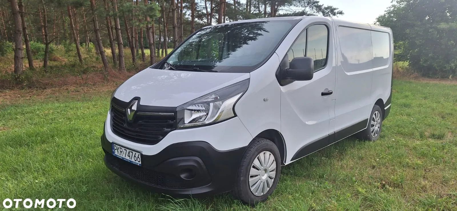 Renault Trafic - 1