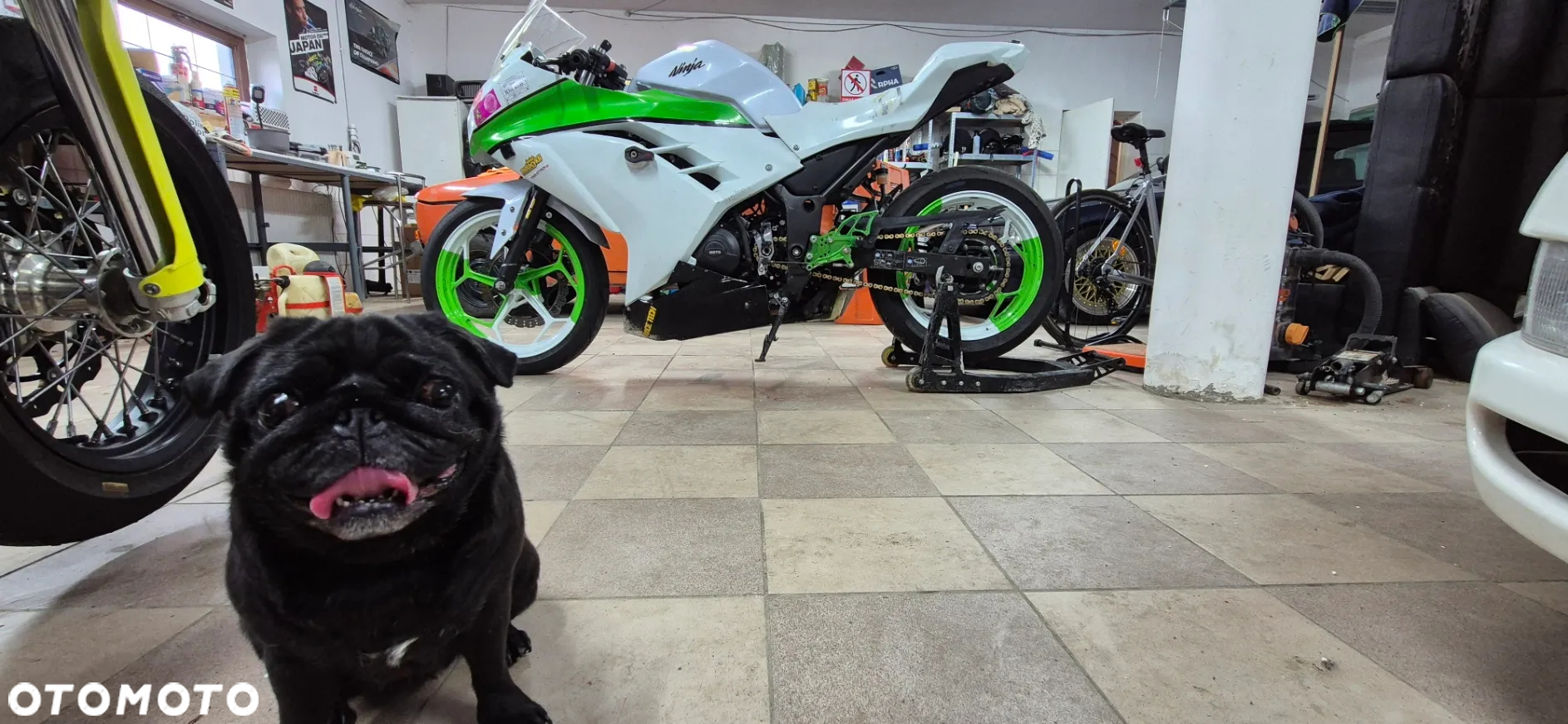 Kawasaki Ninja 300 ABS - 12