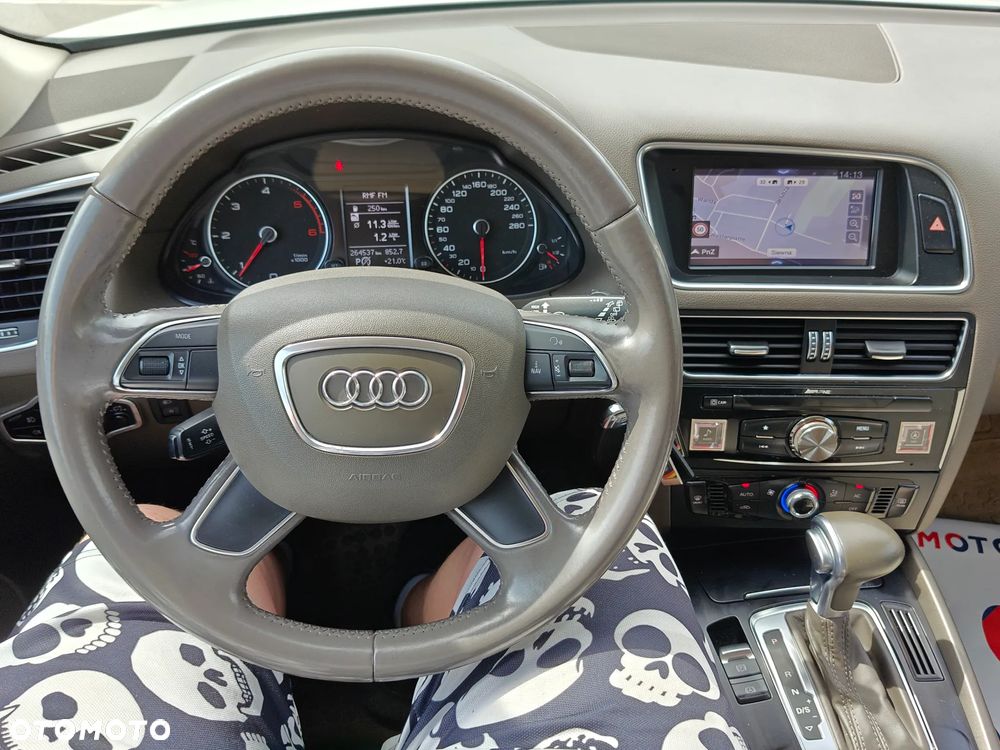Audi Q5 - 21