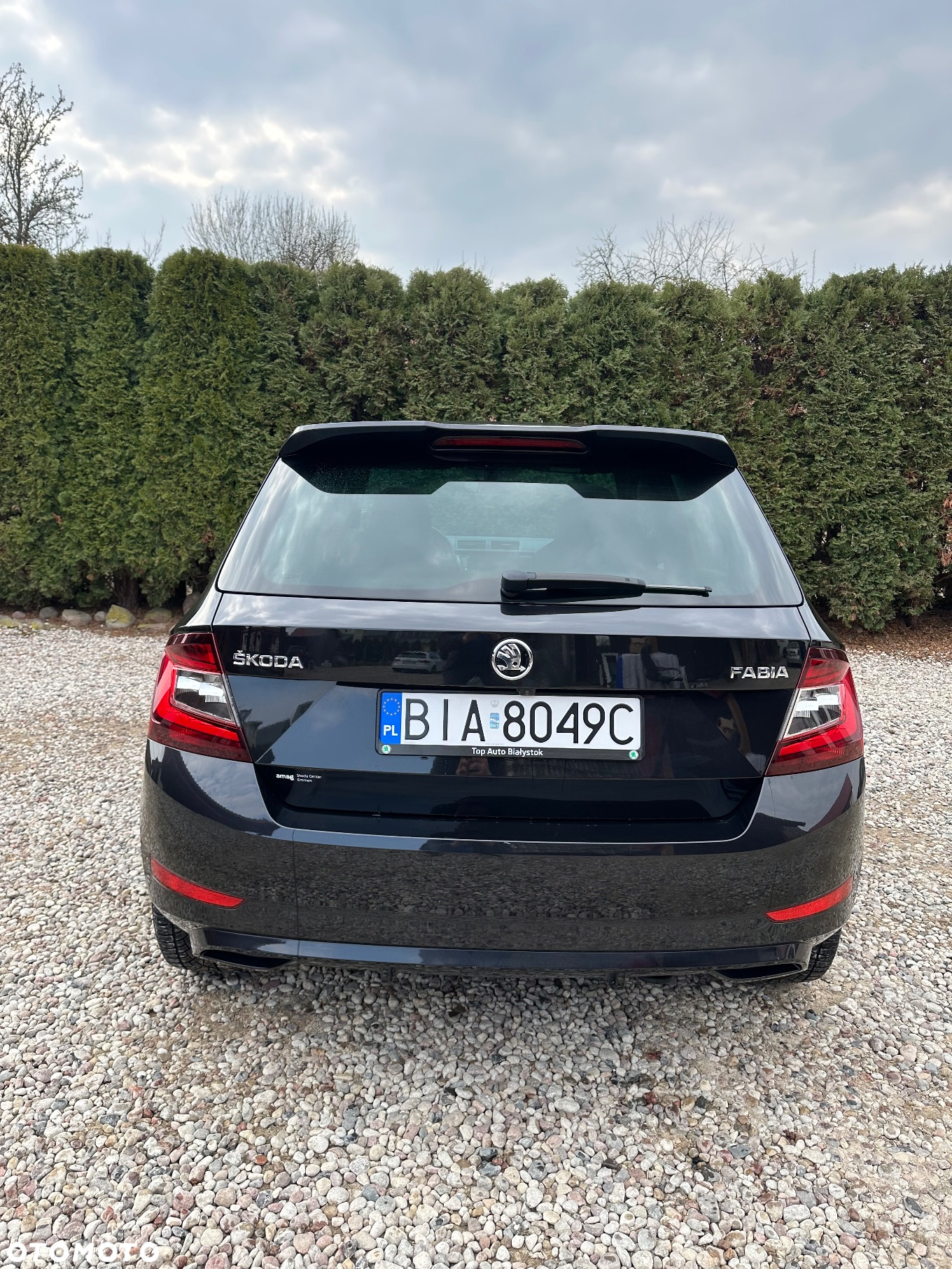 Skoda Fabia 1.0 TSI Monte Carlo - 7