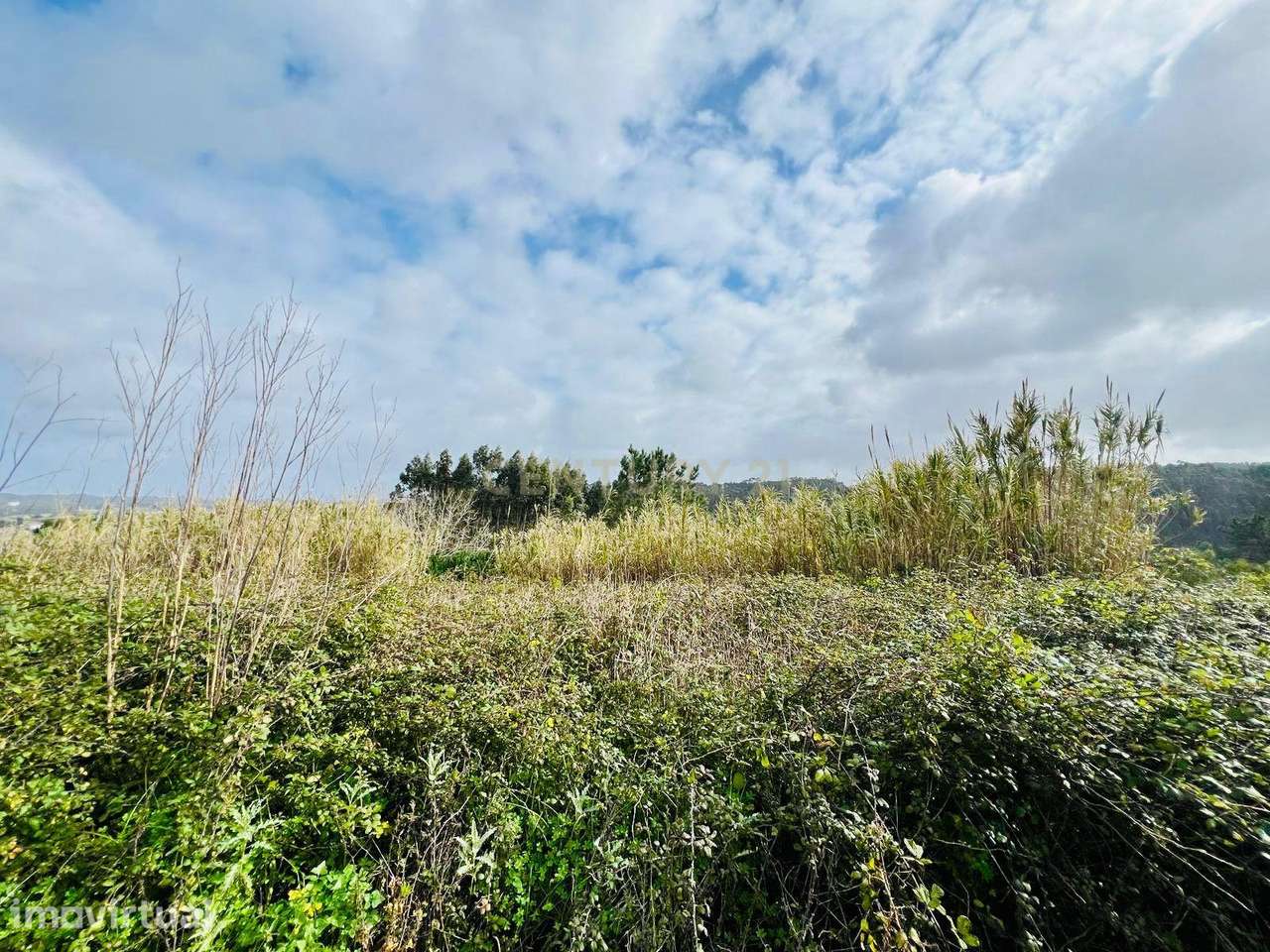 Terreno urbano, Gracieira, A-dos Negros, Óbidos - Grande imagem: 2/13