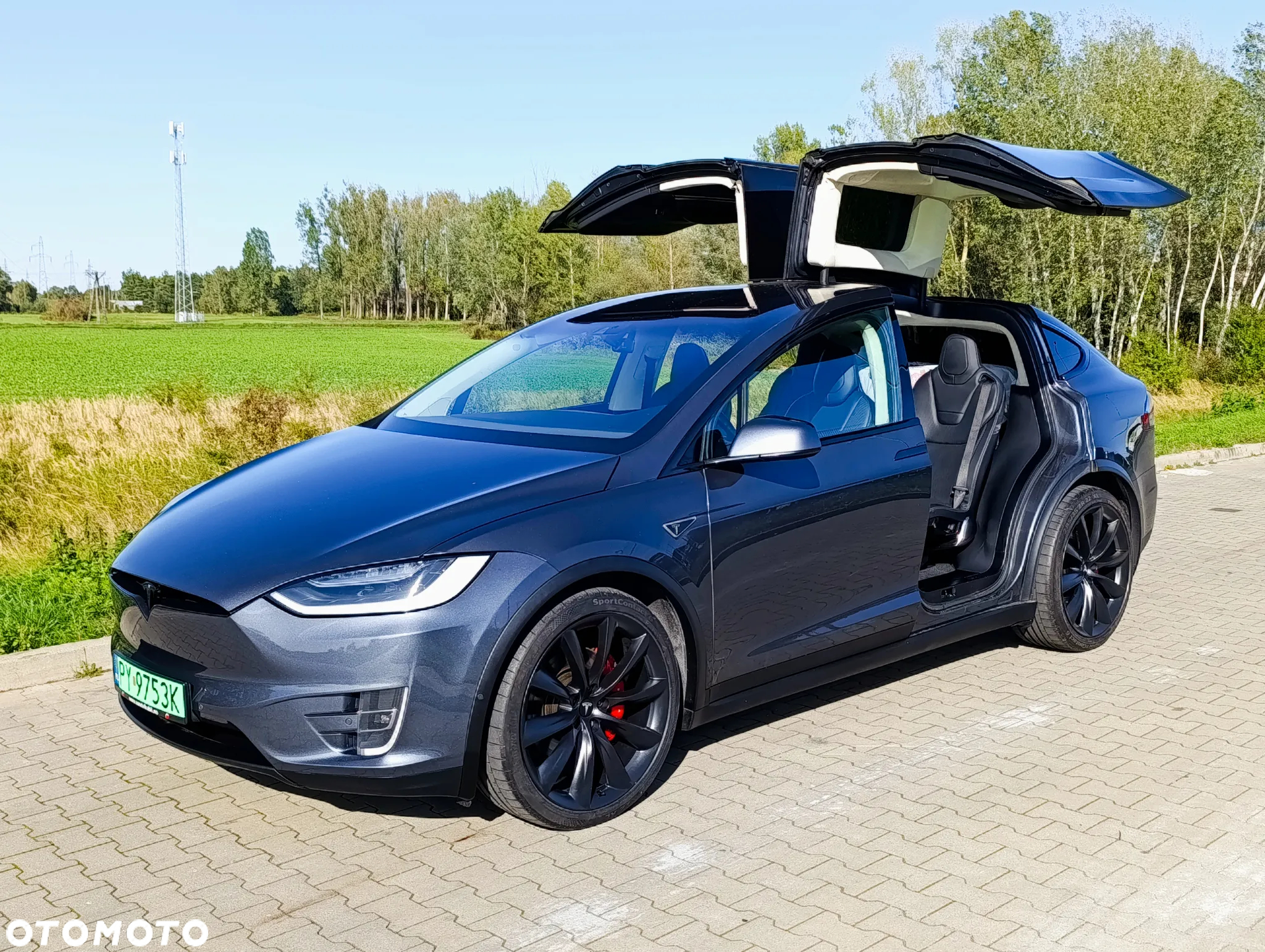 Tesla Model X Performance - 19