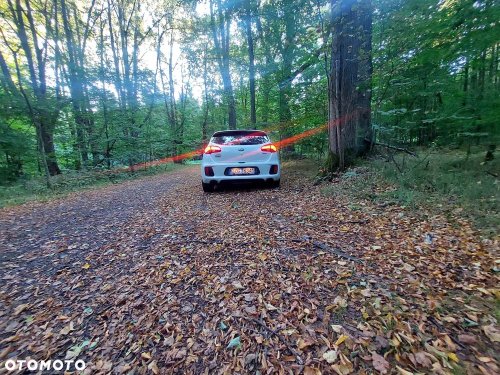 Kia Ceed - 3