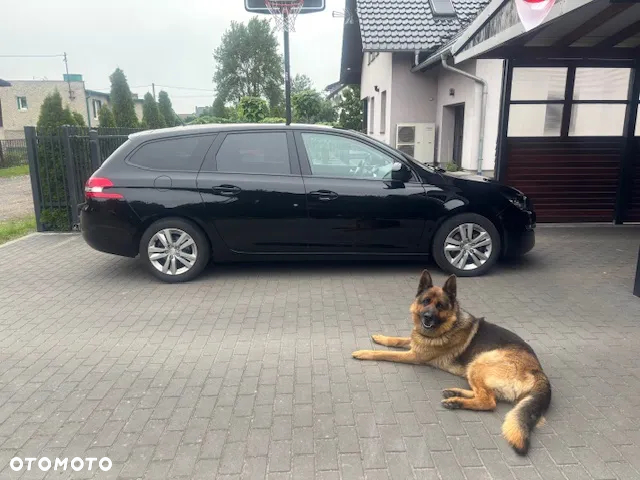 Peugeot 308 1.6 BlueHDi Active S&S - 16