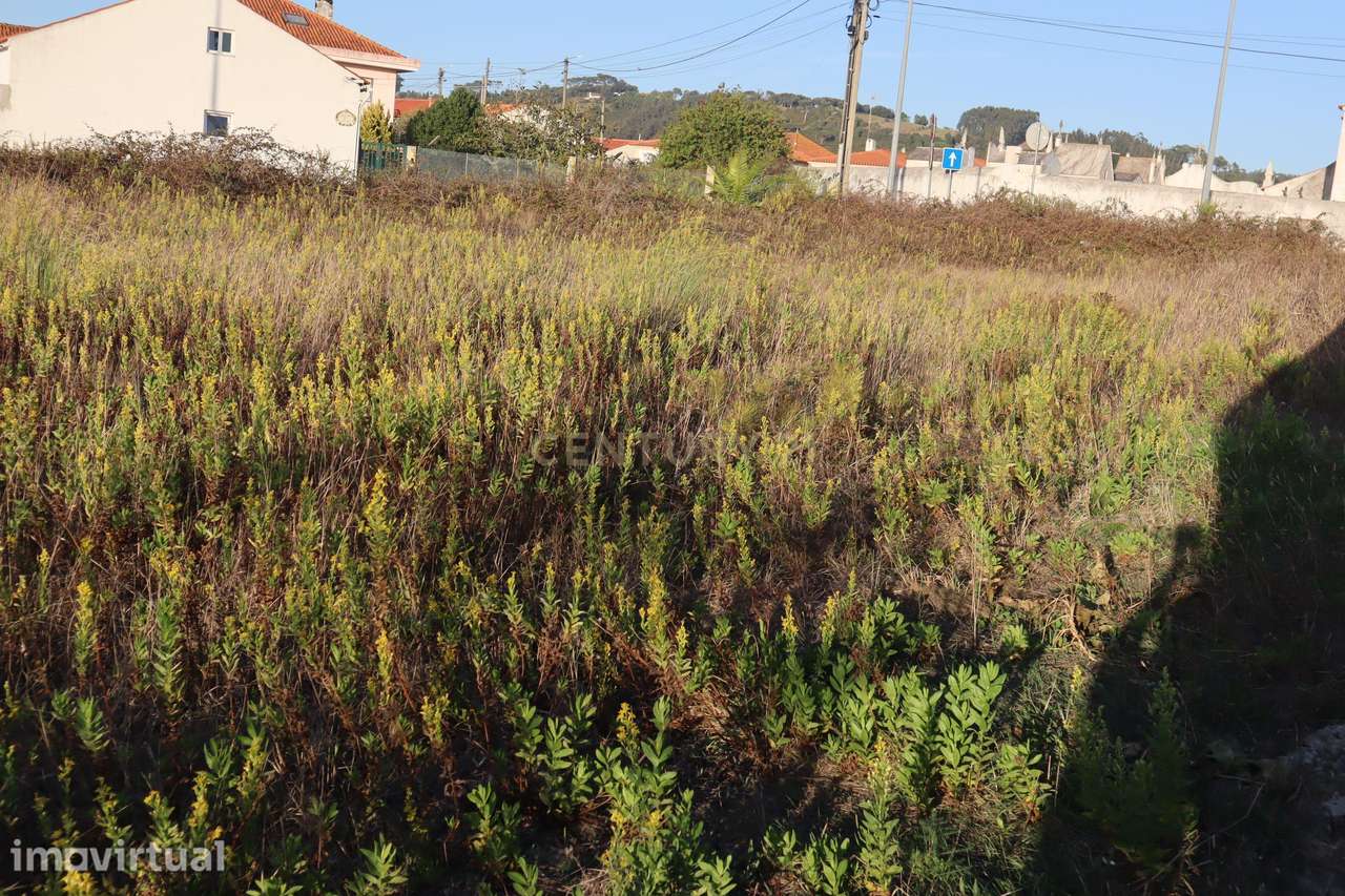 Lote Urbano em Tornada, Caldas da Rainha - Grande imagem: 5/7