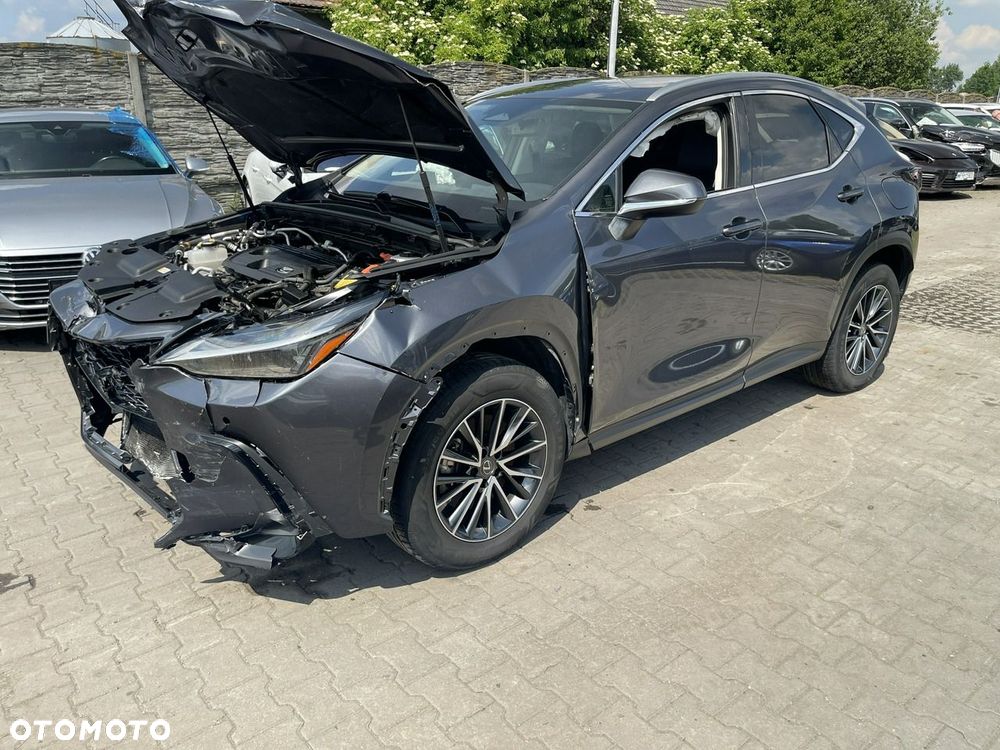 Lexus NX 450h+ E-FOUR Business - 3