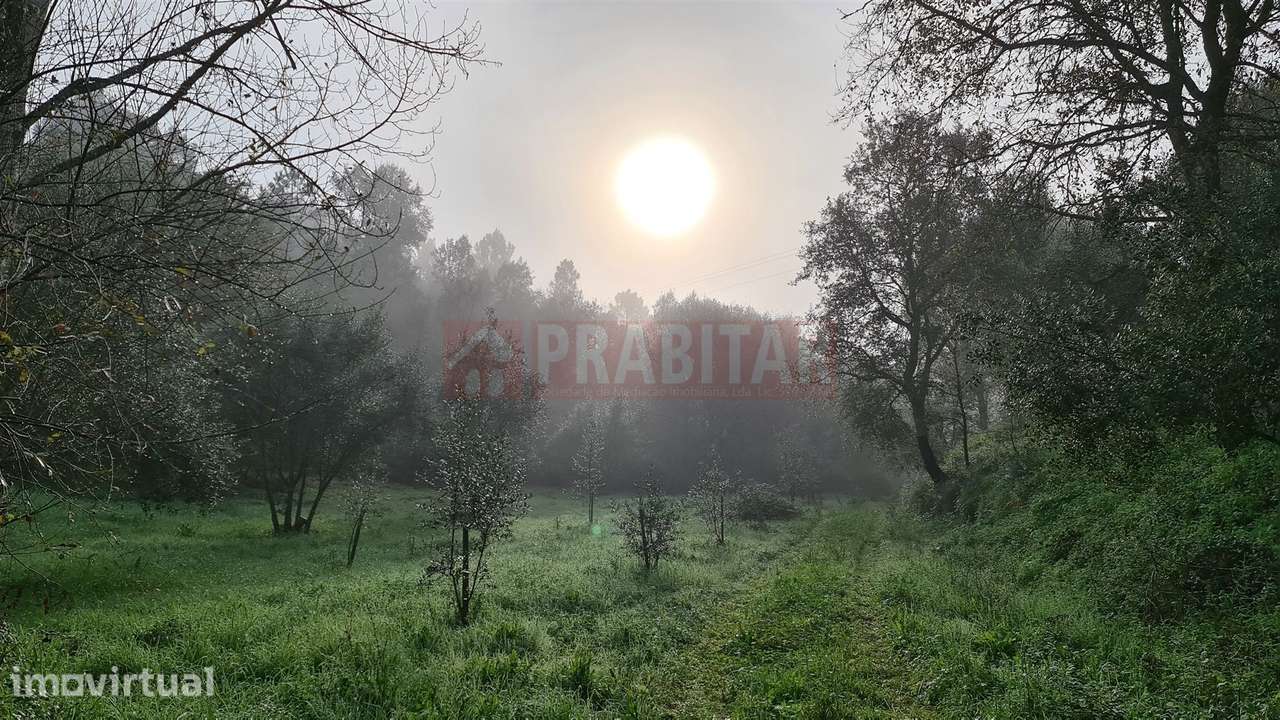 TERRENO EM ZONA HABITACIONAL COM 7.460M2 - Grande imagem: 4/5
