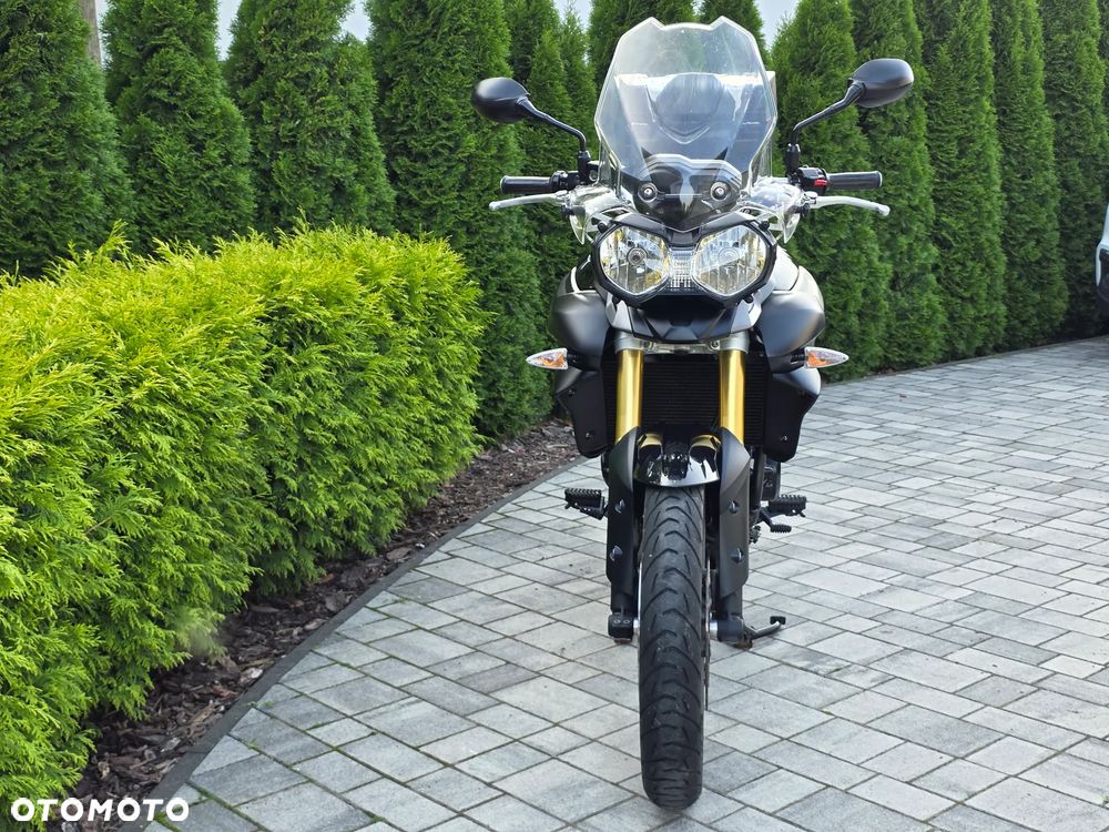 Triumph Tiger - 22
