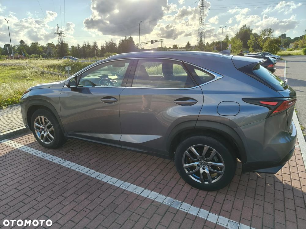 Lexus NX 300 GPF Elegance AWD - 5