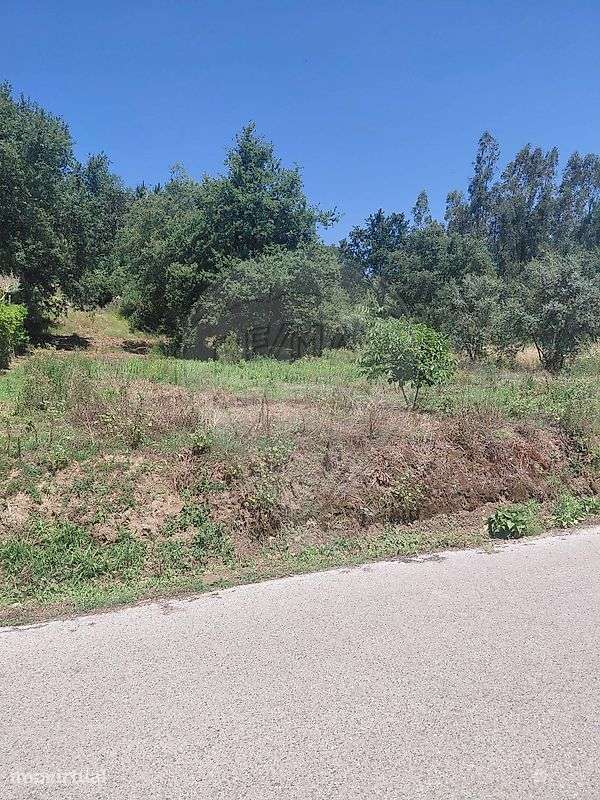 Terreno  para venda - Grande imagem: 5/8