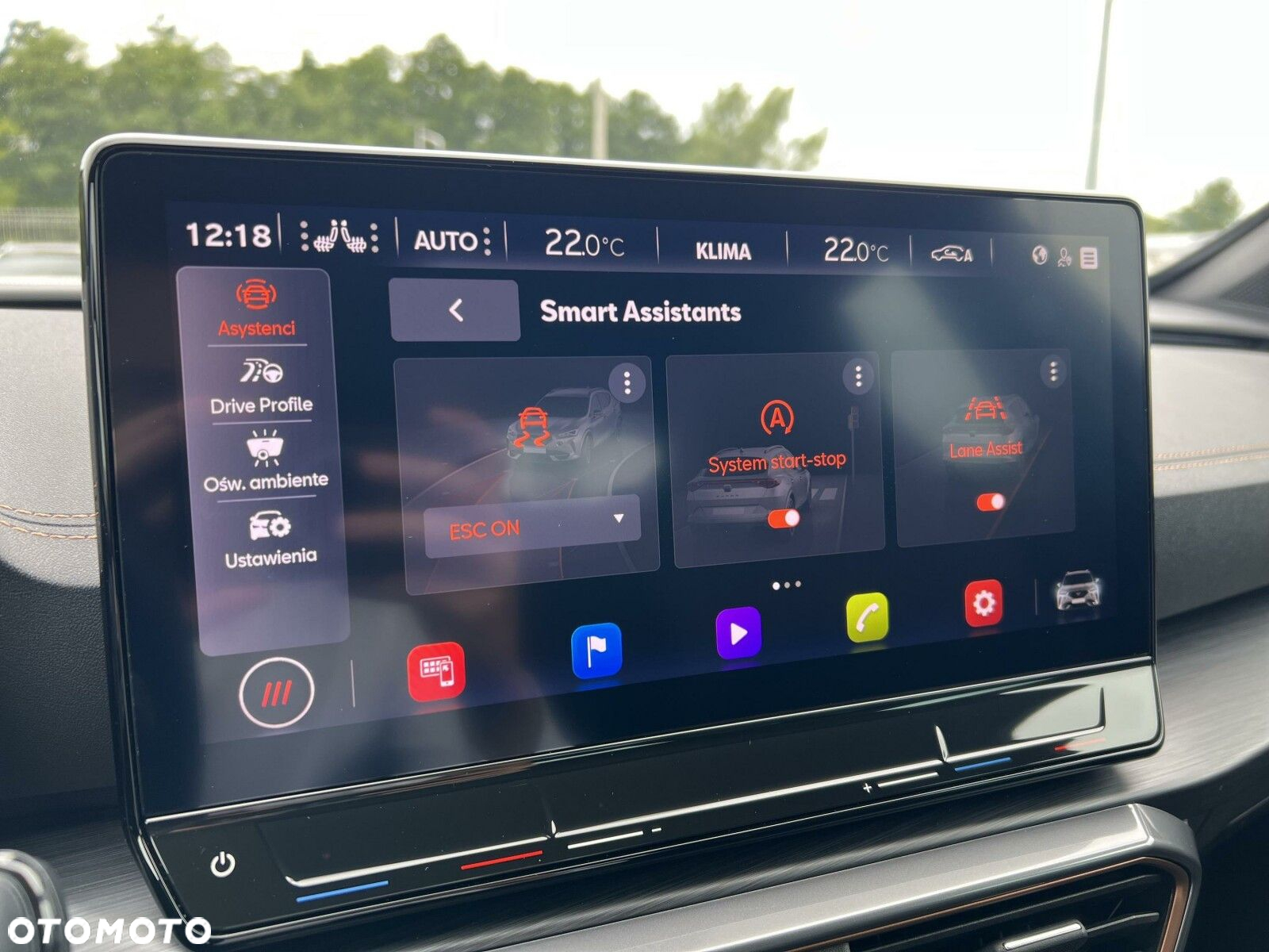Cupra Formentor 2.0 TSI 4Drive VZ DSG - 32