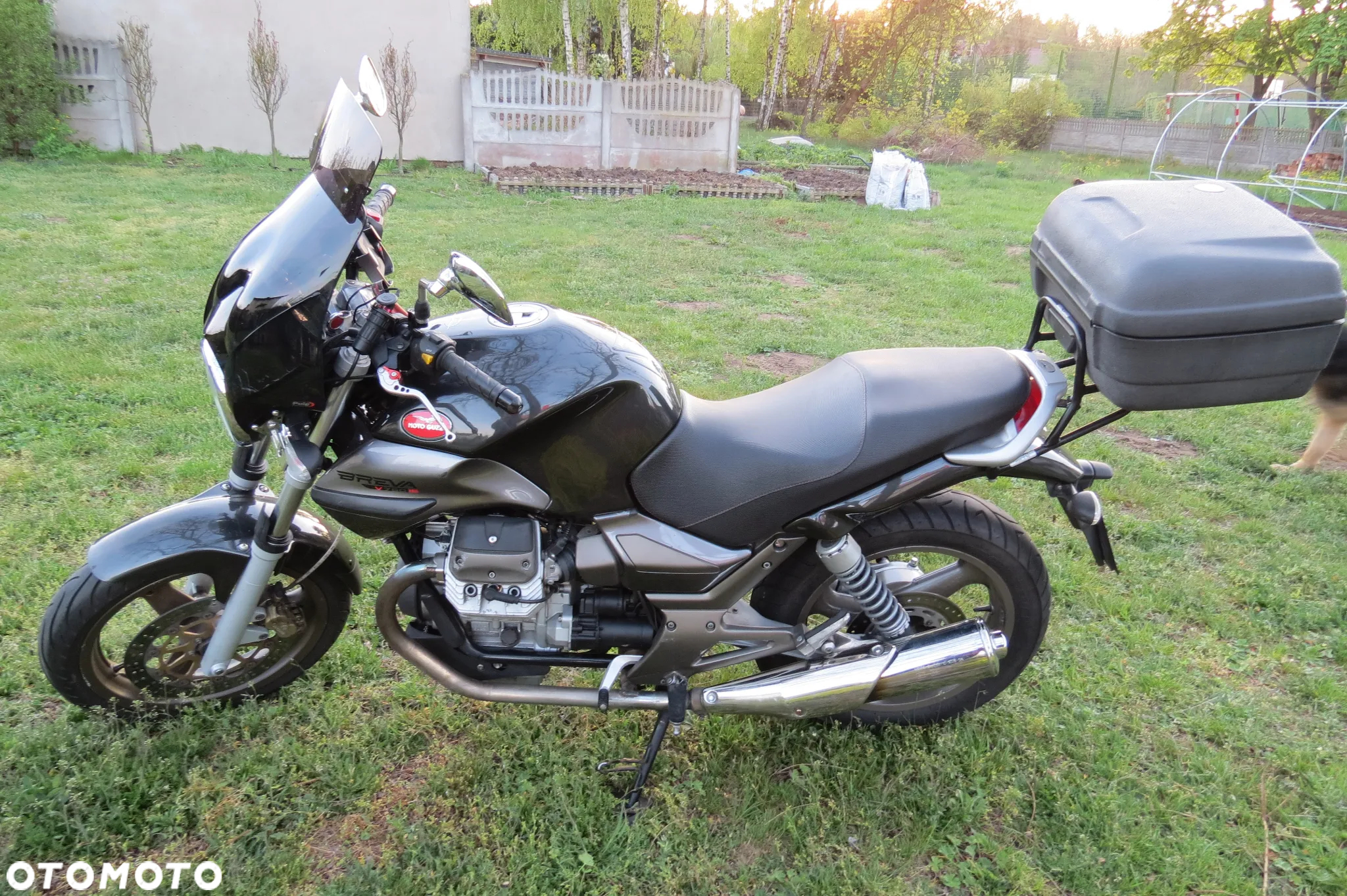 Moto Guzzi Breva - 7