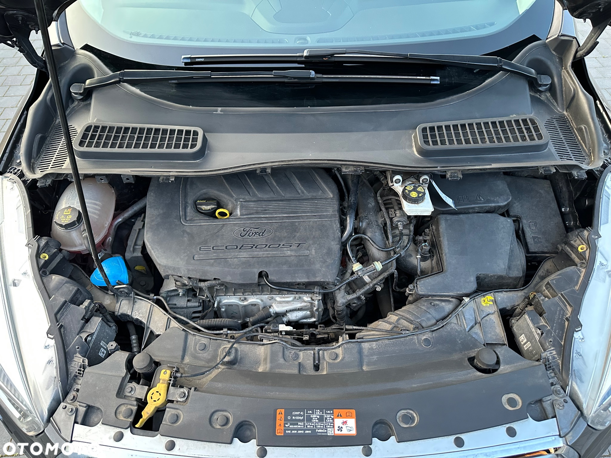 Ford Kuga 1.5 EcoBoost FWD Titanium ASS MMT6 - 37