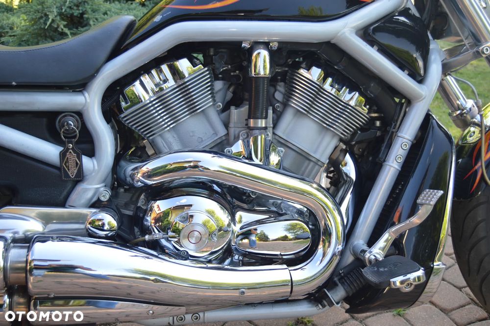 Harley-Davidson V-Rod Street Rod - 9