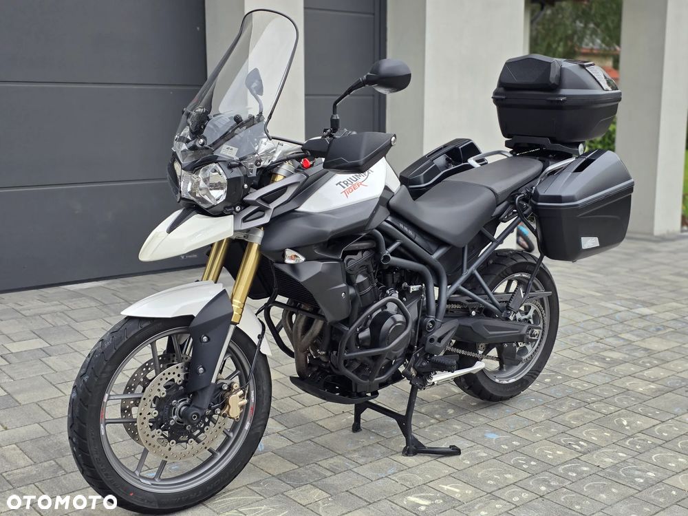 Triumph Tiger - 20