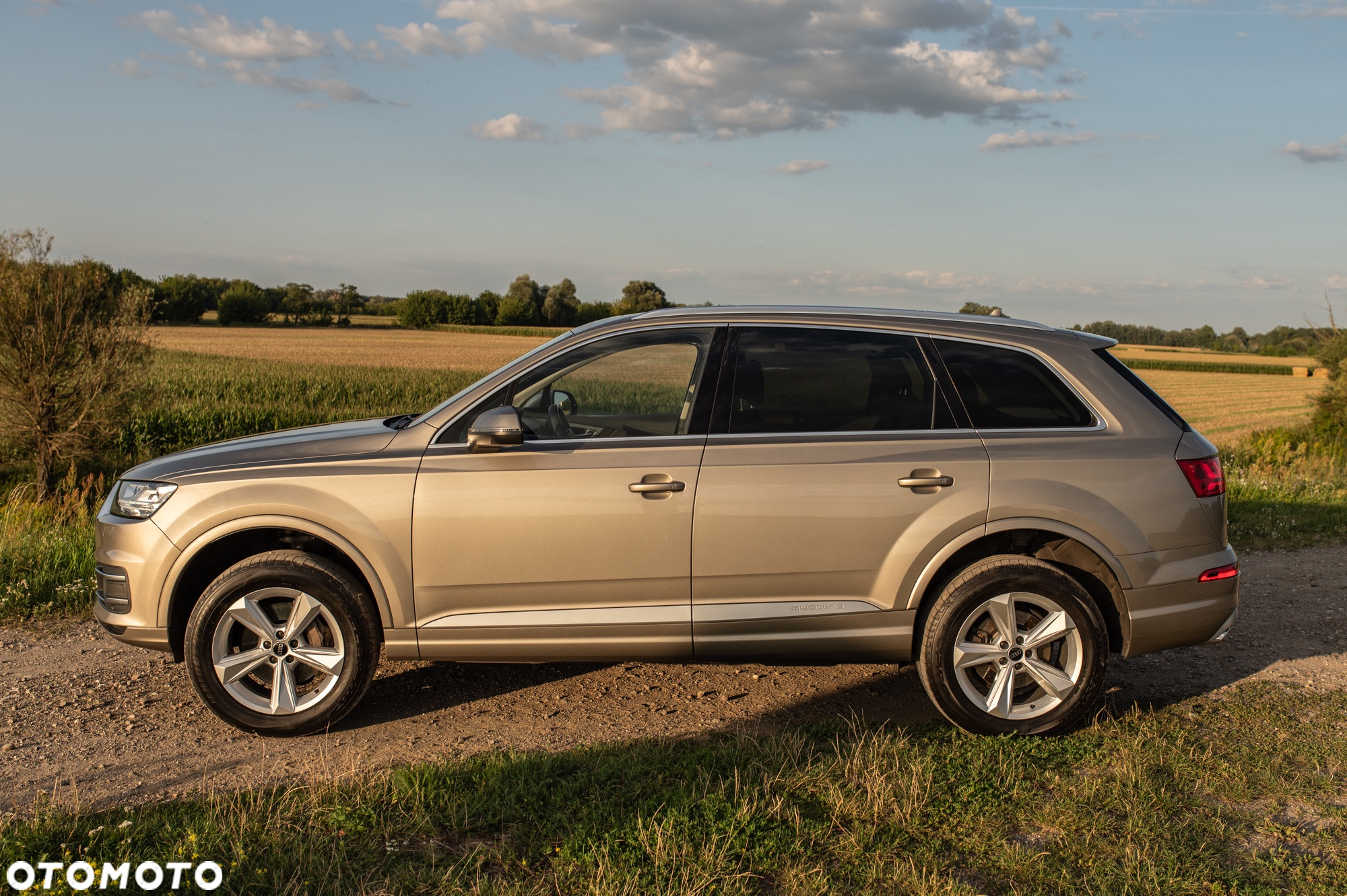 Audi Q7 3.0 TDI Quattro Tiptronic - 16