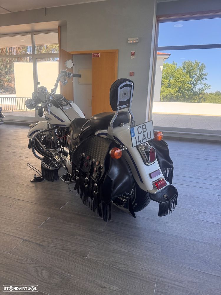 Harley-Davidson FLSTS Springer - 3