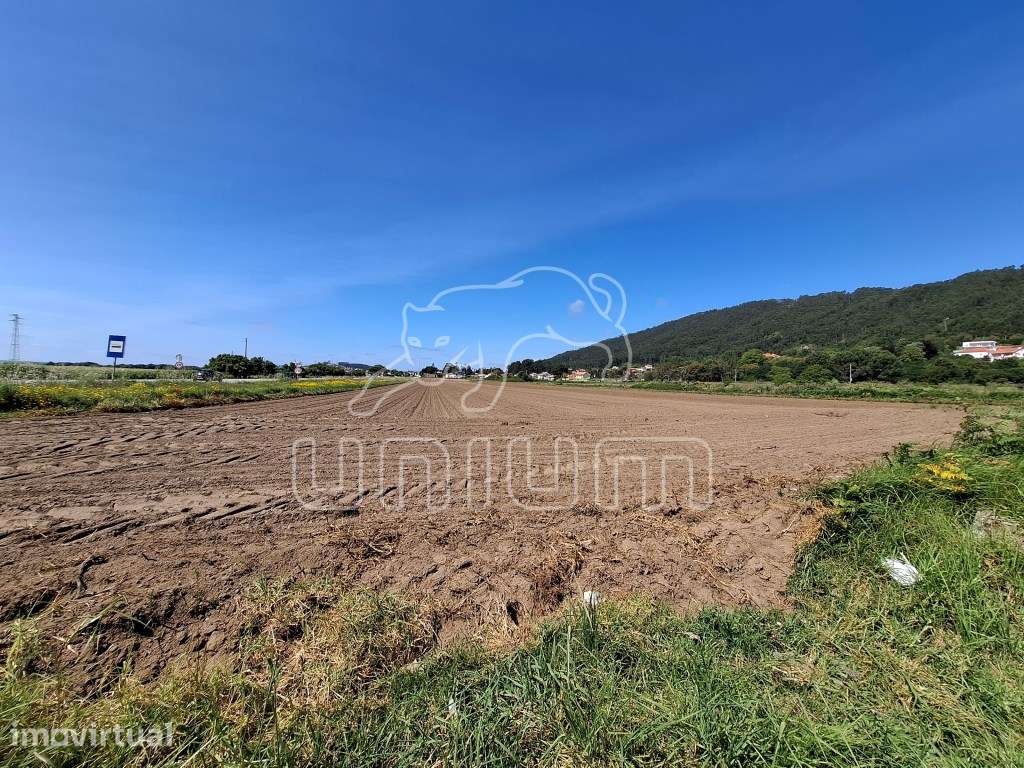 Terreno em Carreço - Grande imagem: 2/3