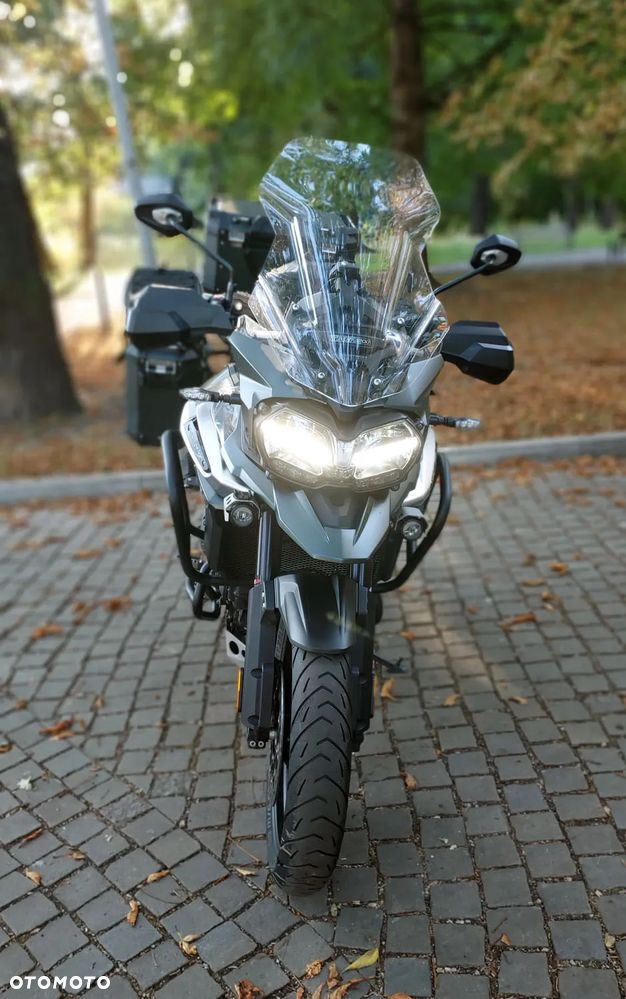 Triumph Tiger - 8