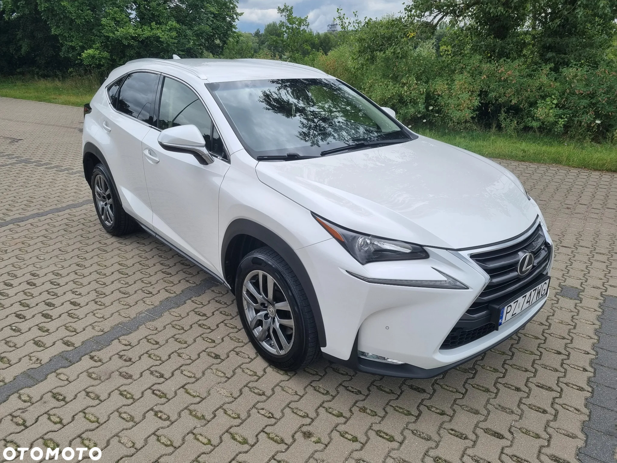 Lexus NX 200t Comfort AWD - 5