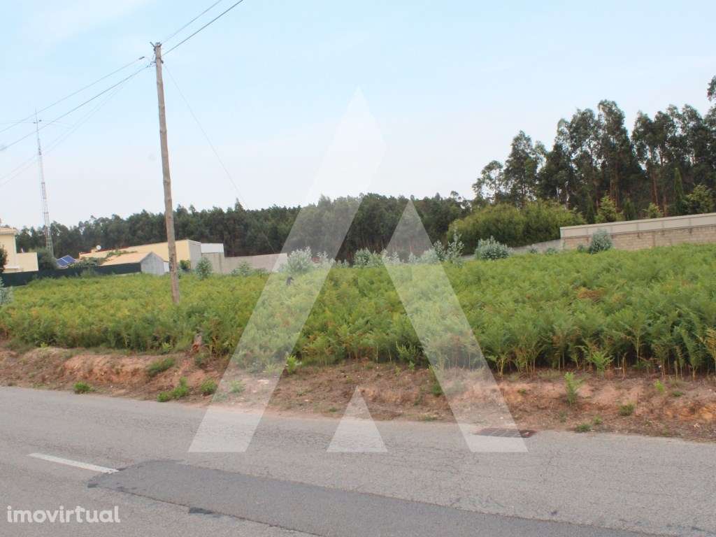 Terreno para construção na Senhora do Socorro - Albergaria-a-Velha - Grande imagem: 3/11