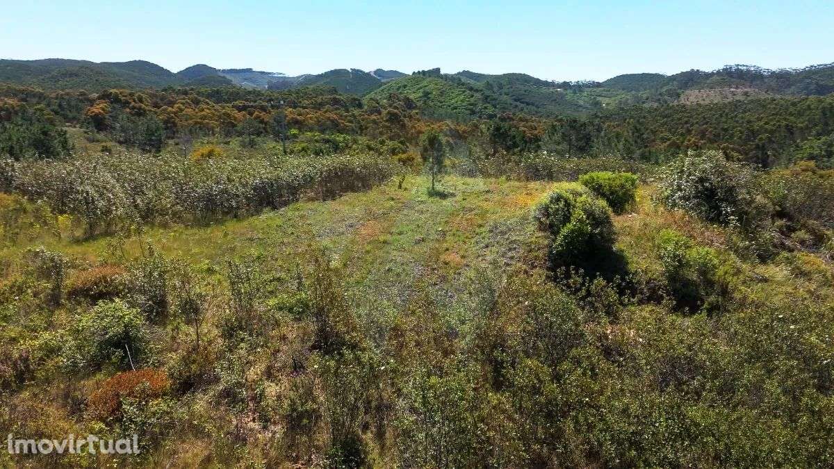 Terreno Serominheiro - Grande imagem: 3/6