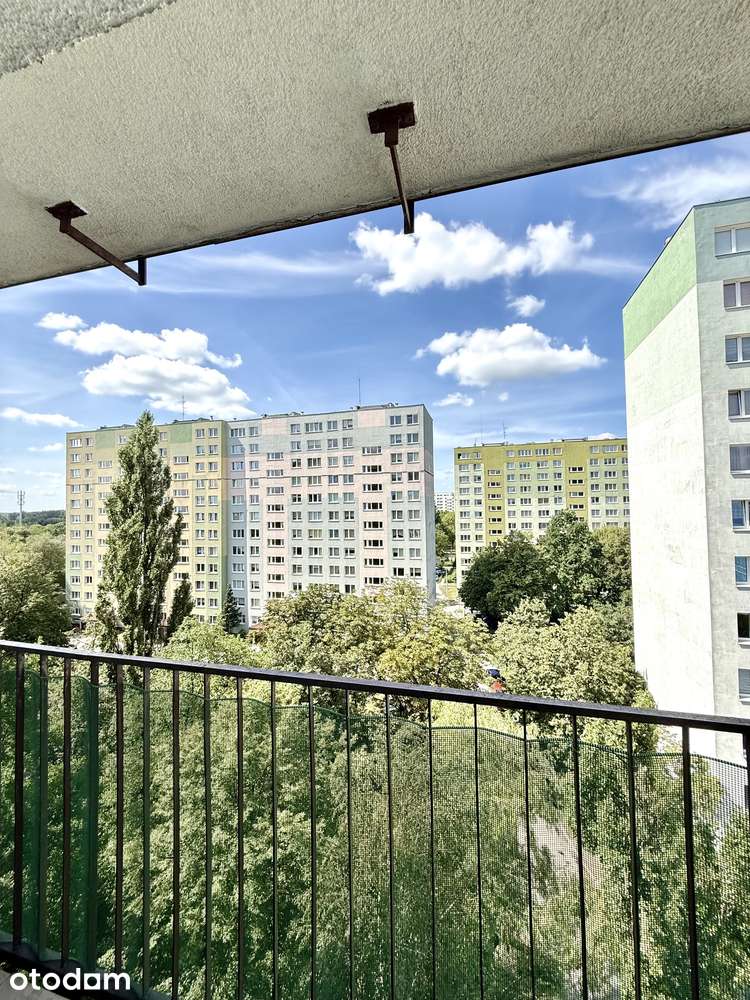 3 POKOJE | ŚWIETNY ROZKŁAD | GÓRNA