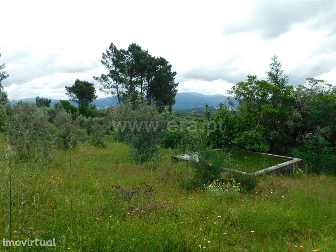 Quinta / Seia, Carragozela e Várzea de Meruge - Grande imagem: 2/10