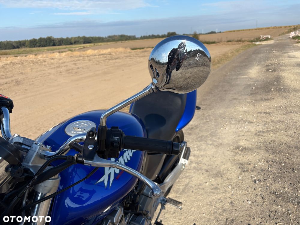 Honda Hornet - 11