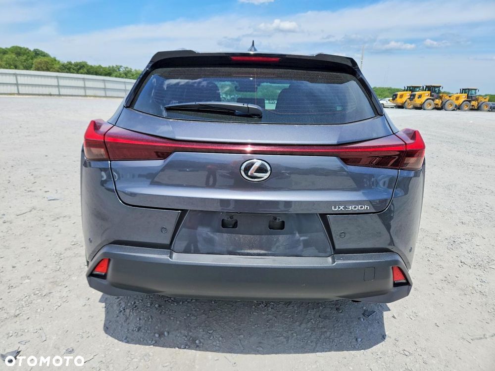 Lexus UX 300h Business - 7