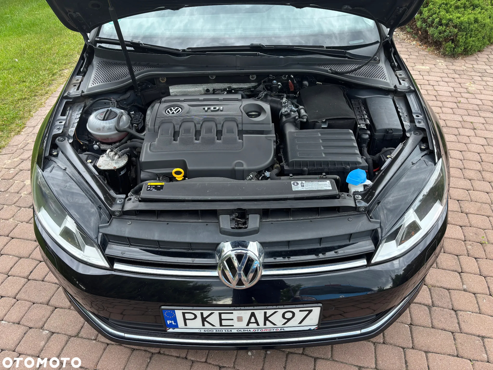 Volkswagen Golf 1.6 TDI BlueMotion Technology Allstar - 26
