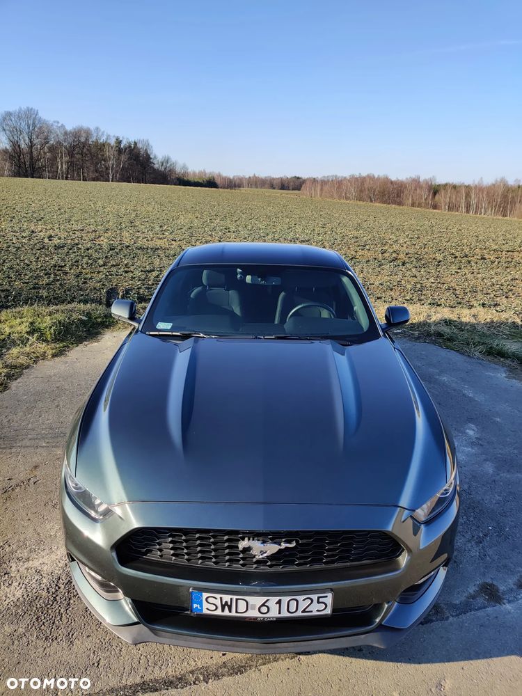 Ford Mustang 3.7 V6 - 10
