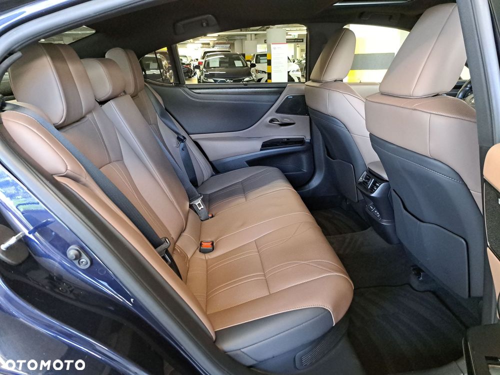 Lexus ES 300h Omotenashi - 15