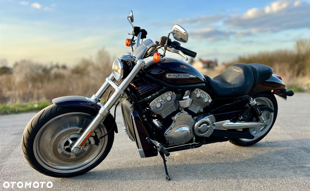 Harley-Davidson V-Rod Street Rod - 9