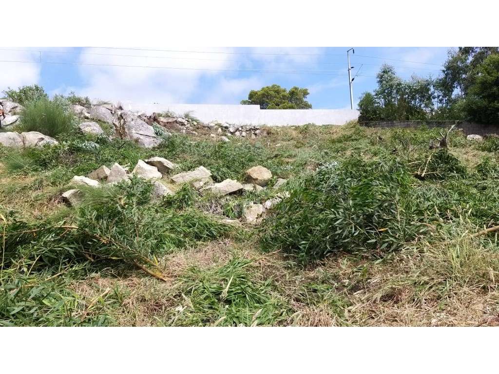 Terreno para construção - Afife, Viana do Castelo - Grande imagem: 4/8